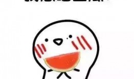 请叫我娱乐吃瓜,揭秘明星幕后故事，请叫我娱乐吃瓜