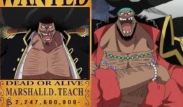 黑胡子最新爆料视频网,海洋霸主背后的惊人真相